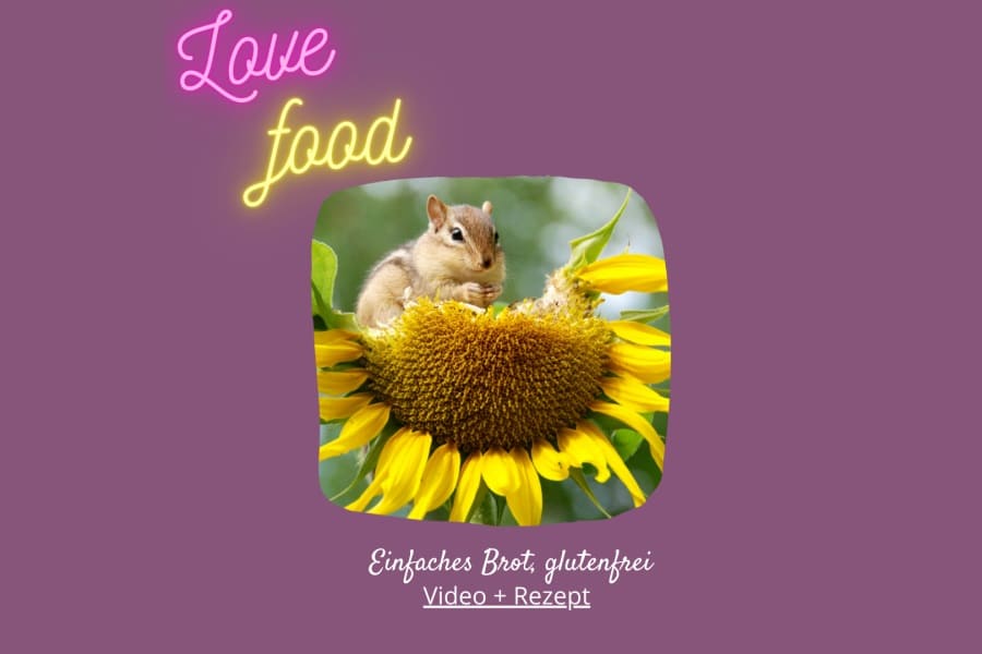 Kurz Videos Love Food
