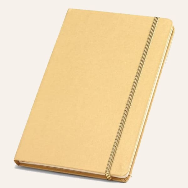 Goldenes Manifestationsbuch