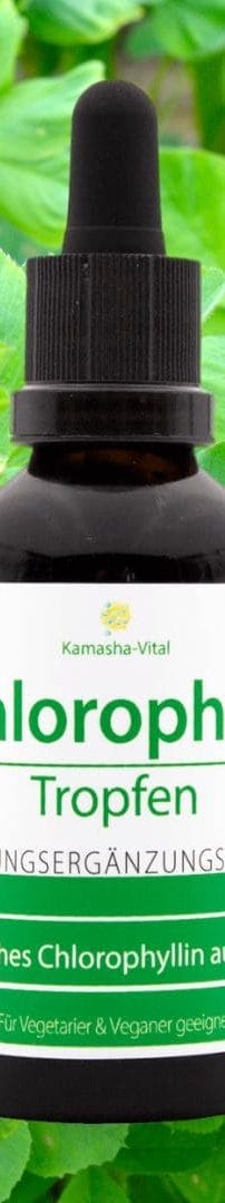 Chlorophyll Tropfen Kamasha Vital Neu