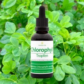 Chlorophyll Tropfen Kamasha Vital Neu