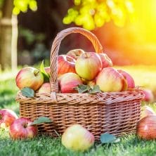 Kochshow Wissen über Äpfel