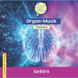 Organ-Musik Gehirn von Yamsaro