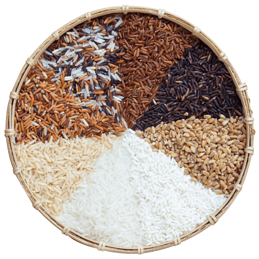 Kochshow Wissen über Reis